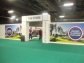 The Golf Show By American Golf